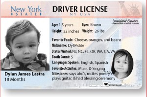 license-dylan 